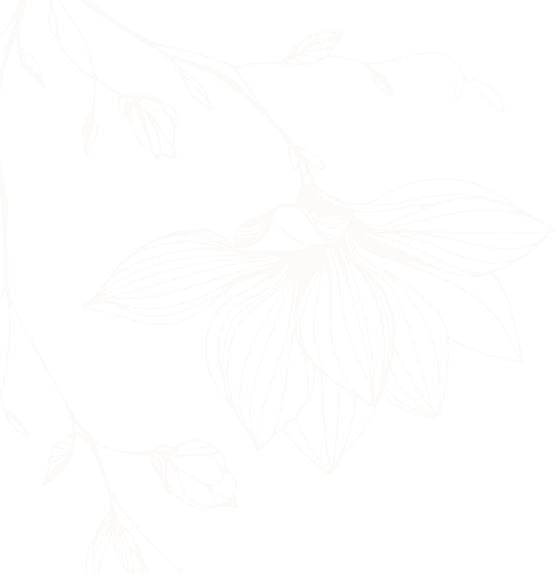 background of newsletter