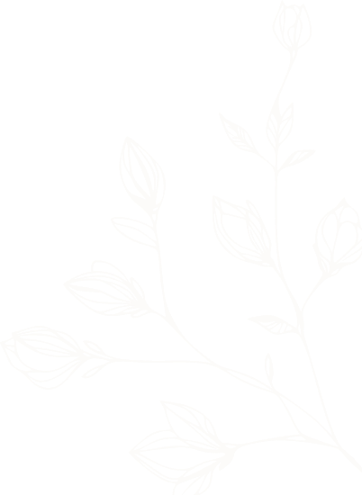 background of newsletter